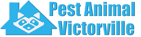 Victorville Wildlife and Animal Removal